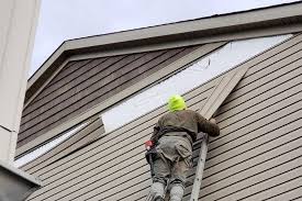 Best Siding Painting and Refinishing  in Dumas, TX